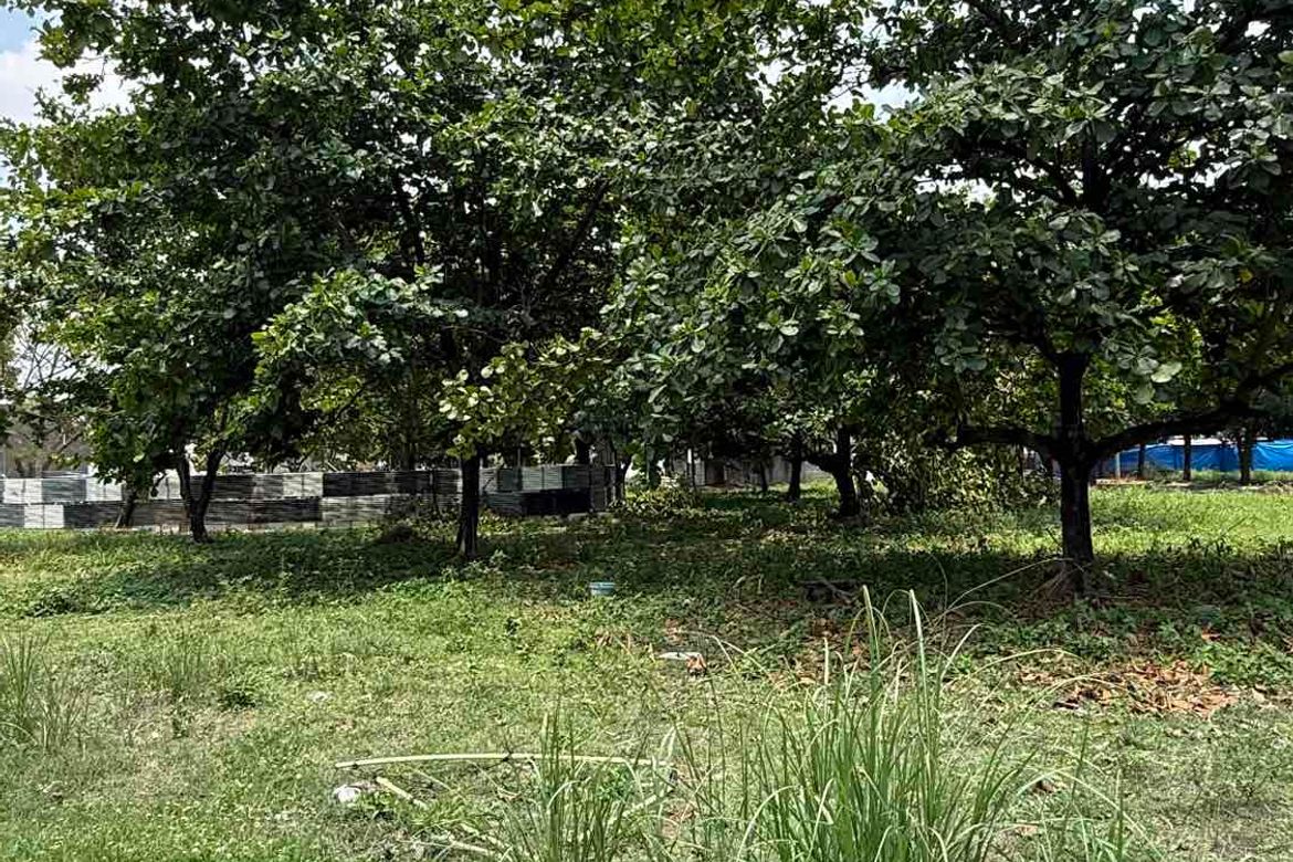 Land for Sale in Duquit, Mabalacat, Pampanga – photo 3