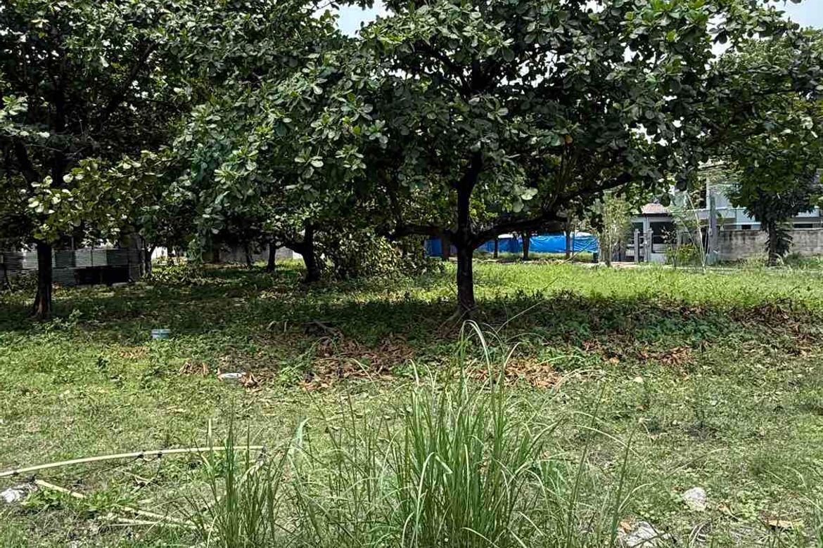 Land for Sale in Duquit, Mabalacat, Pampanga – photo 5