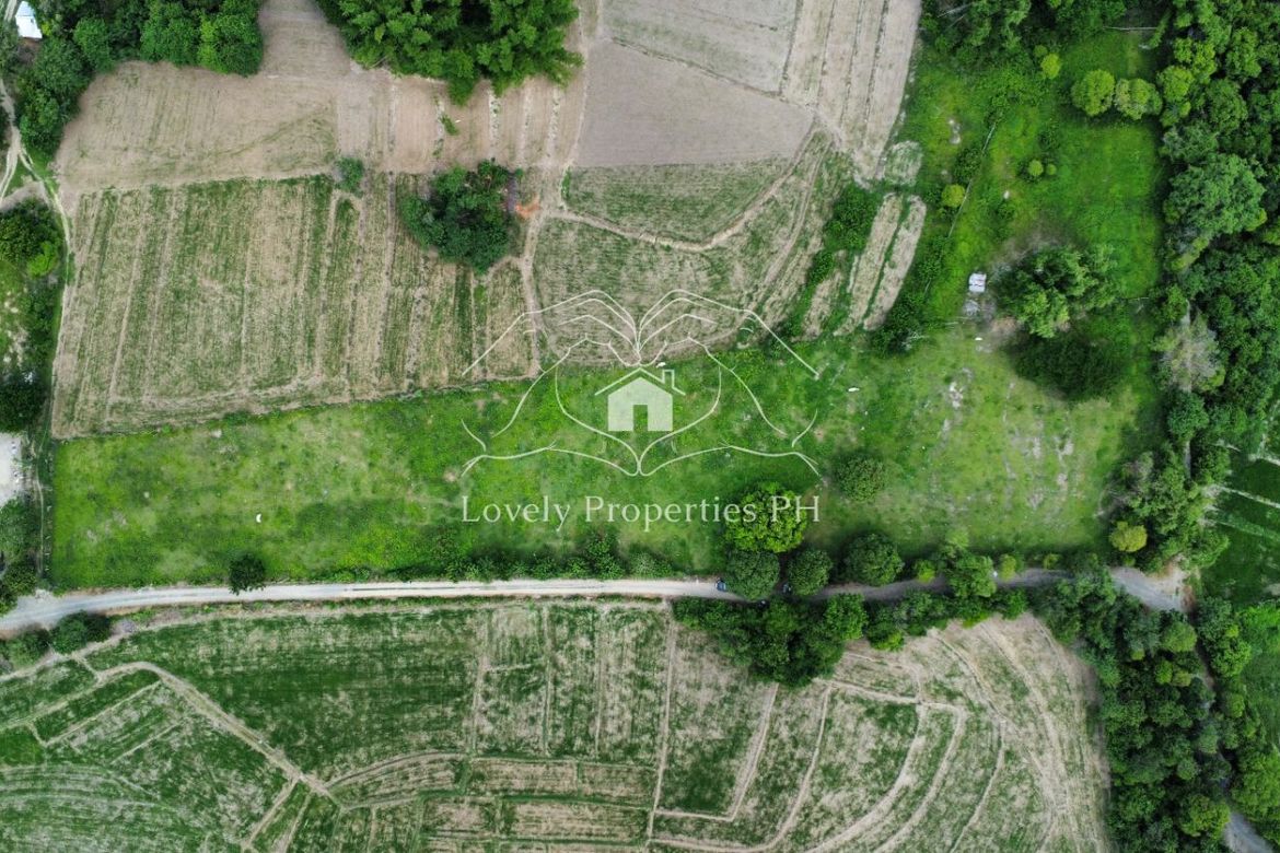 Land for Sale in Dusoc, Bayambang, Pangasinan – photo 2