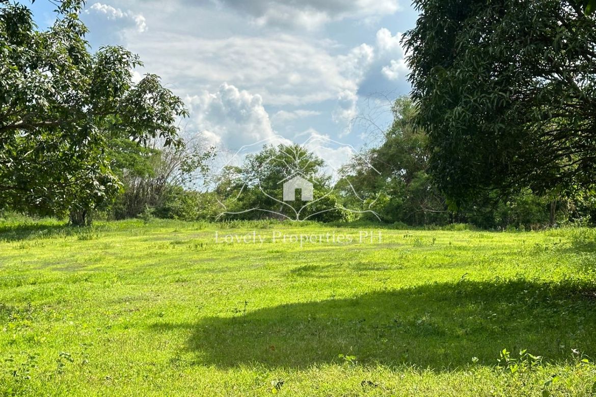 Land for Sale in Dusoc, Bayambang, Pangasinan – photo 5