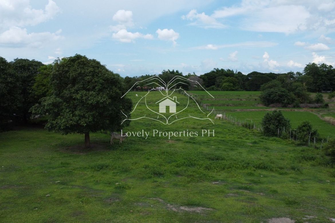 Land for Sale in Dusoc, Bayambang, Pangasinan – photo 6