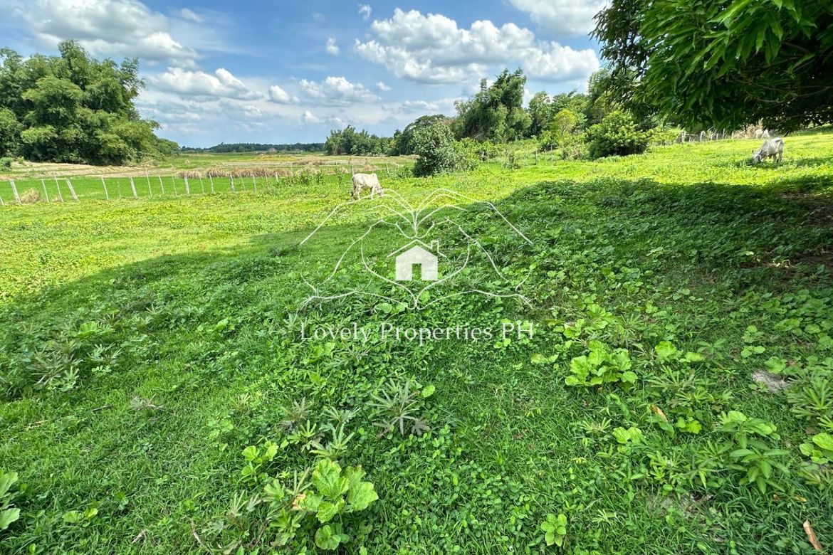 Land for Sale in Dusoc, Bayambang, Pangasinan – photo 7