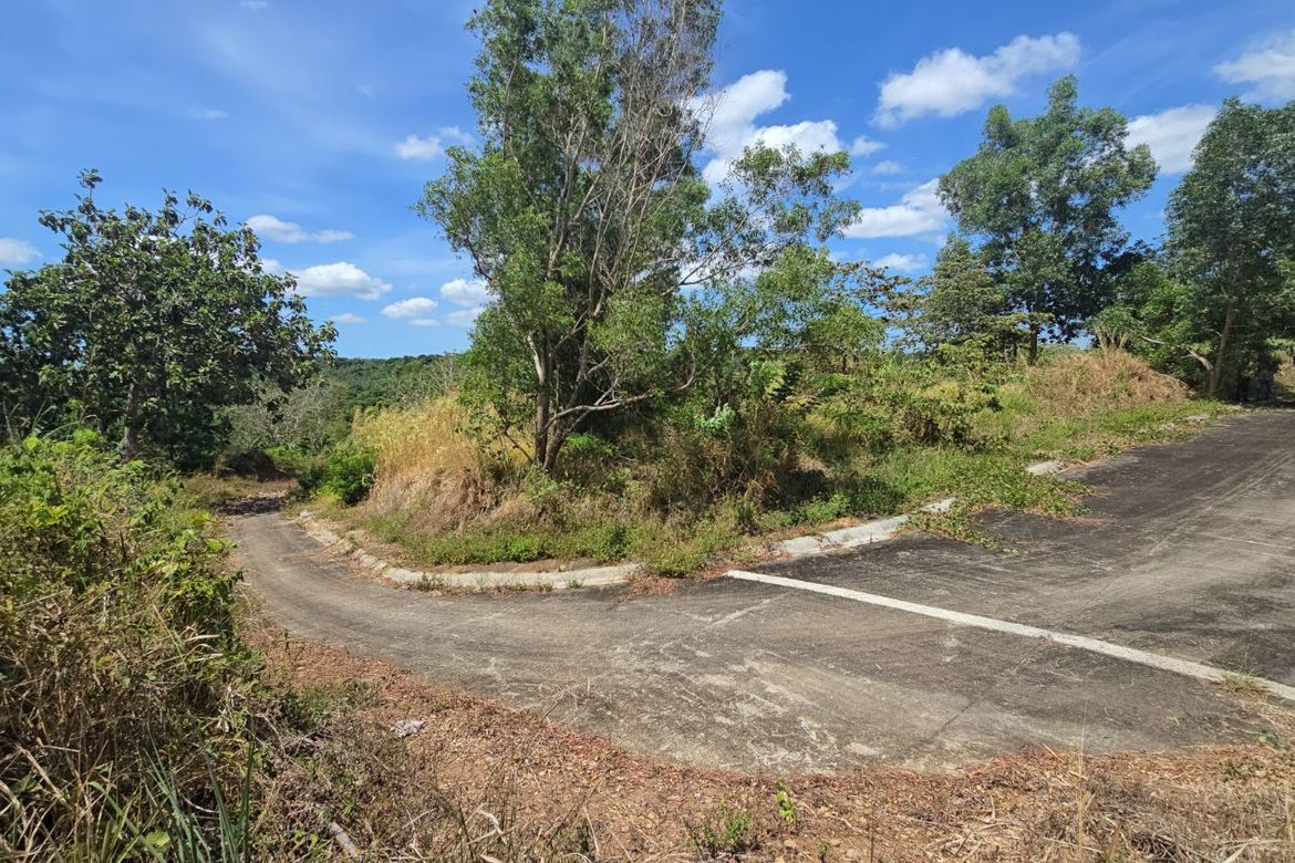 Land for Sale in Eastland Heights, Bagong Nayon, Antipolo, Rizal – photo 4