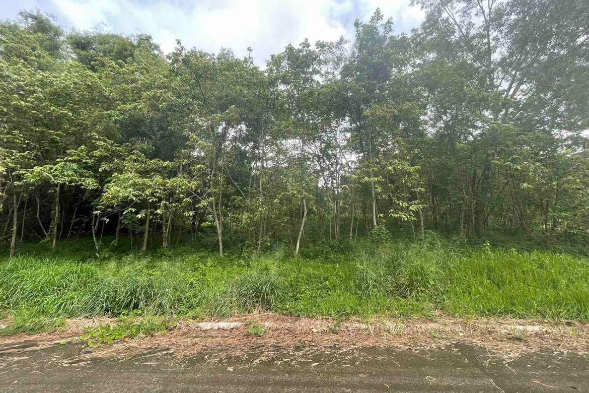 Land for Sale in Eastland Heights, Bagong Nayon, Antipolo, Rizal