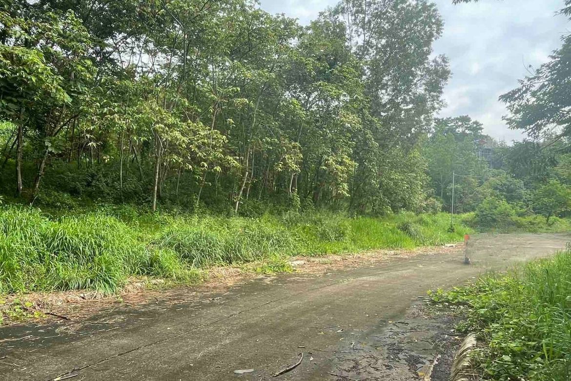 Land for Sale in Eastland Heights, Bagong Nayon, Antipolo, Rizal – photo 2