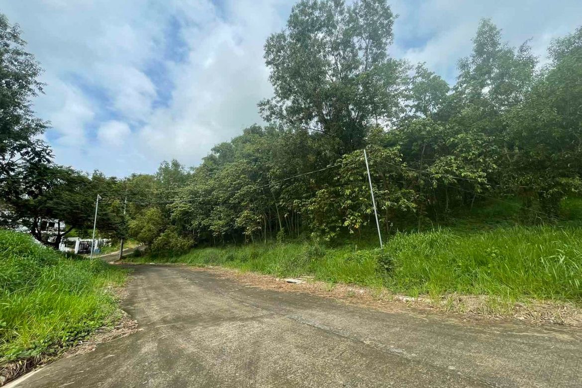 Land for Sale in Eastland Heights, Bagong Nayon, Antipolo, Rizal – photo 3