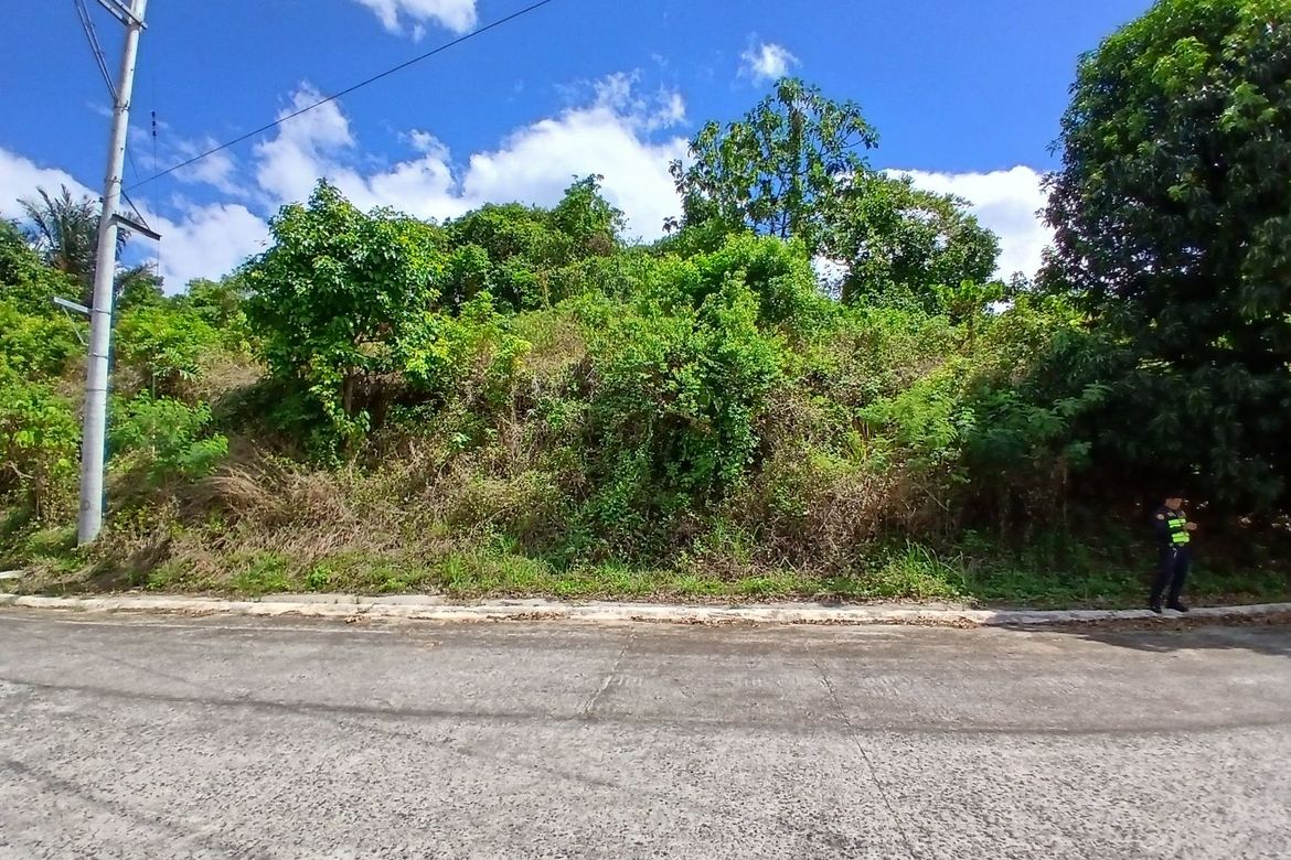 Land for Sale in Eastland Heights, Bagong Nayon, Antipolo, Rizal