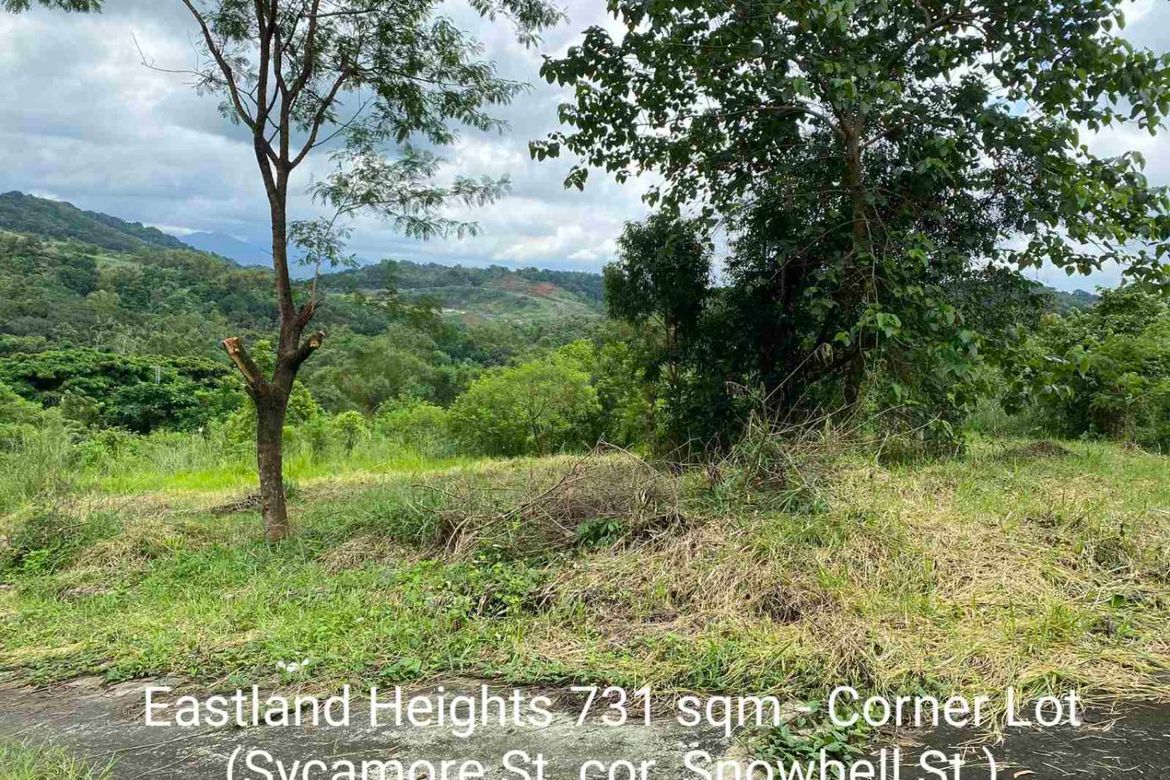 Land for Sale in Eastland Heights, Bagong Nayon, Antipolo, Rizal – photo 2