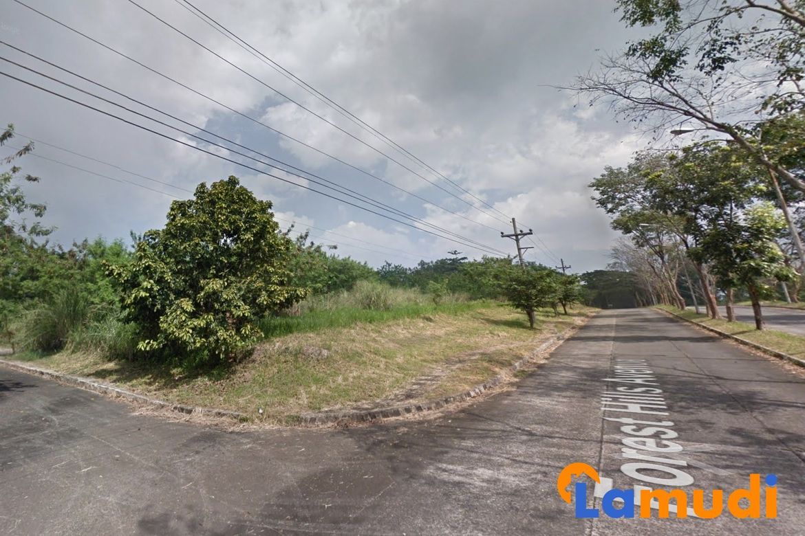 Land for Sale in Eastland Heights, Bagong Nayon, Antipolo, Rizal