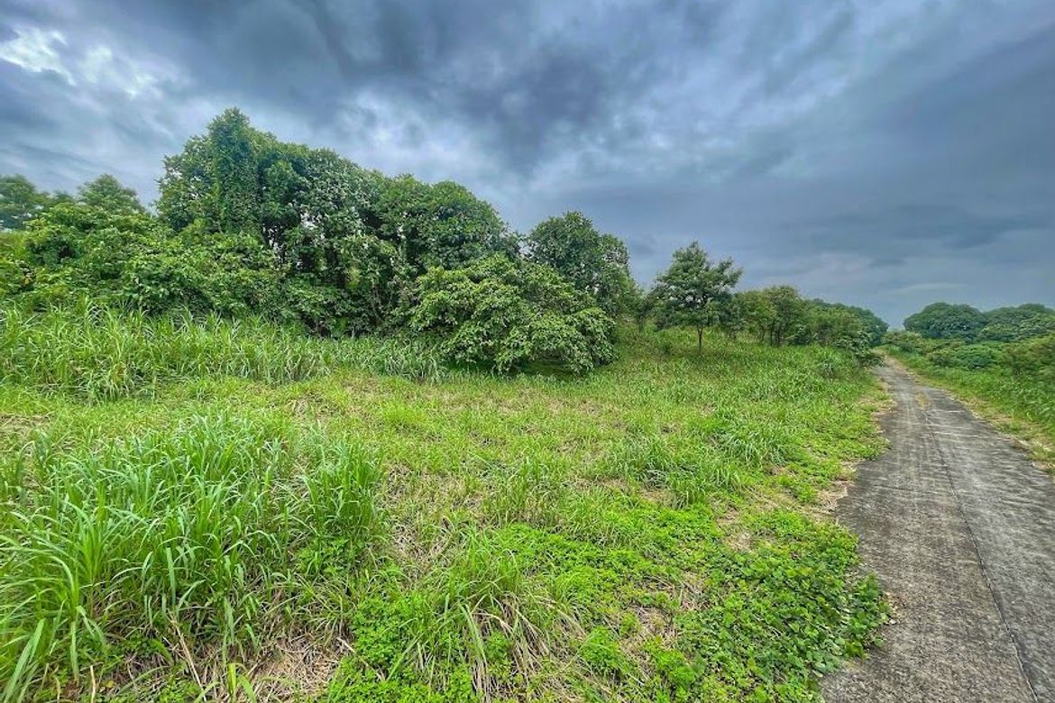 Land for Sale in Eastland Heights, Bagong Nayon, Antipolo, Rizal – photo 3