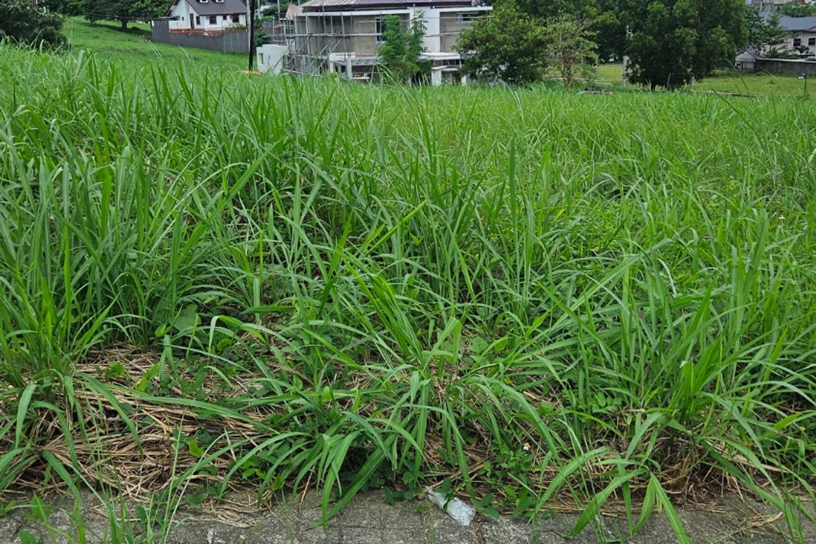 Land for Sale in Eastland Heights, Bagong Nayon, Antipolo, Rizal – photo 2