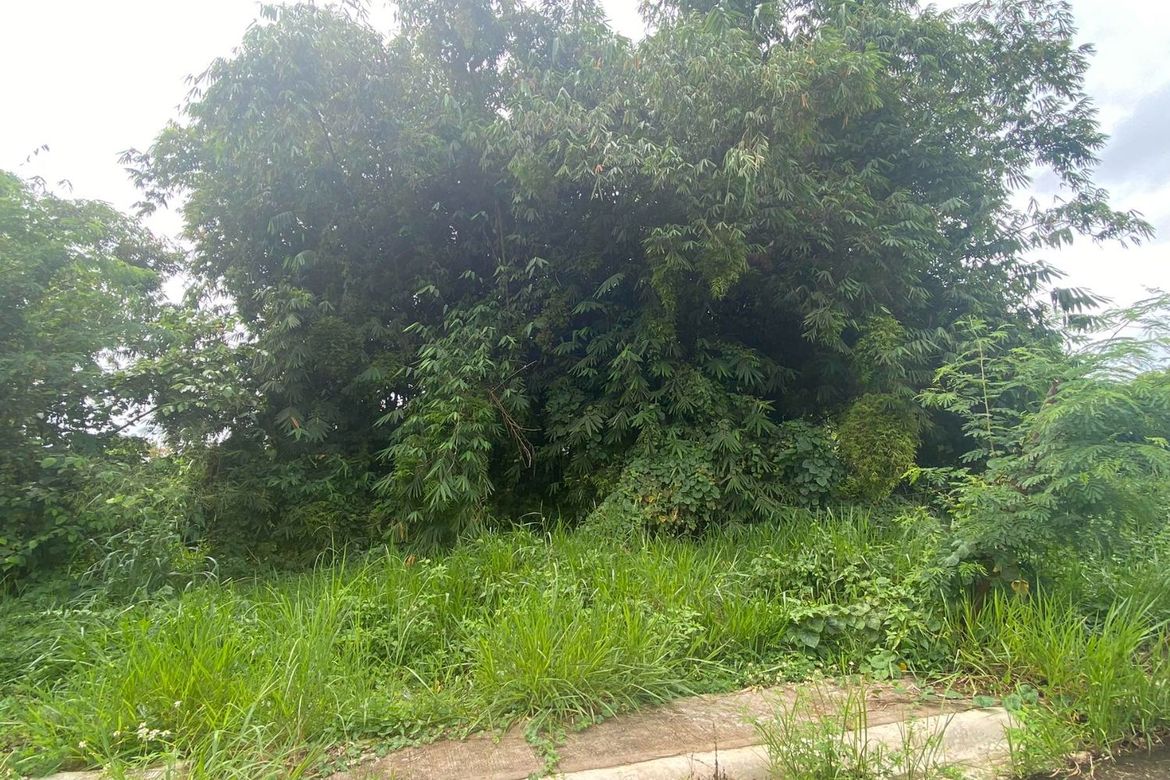 Land for Sale in Eastland Heights, Bagong Nayon, Antipolo, Rizal – photo 2