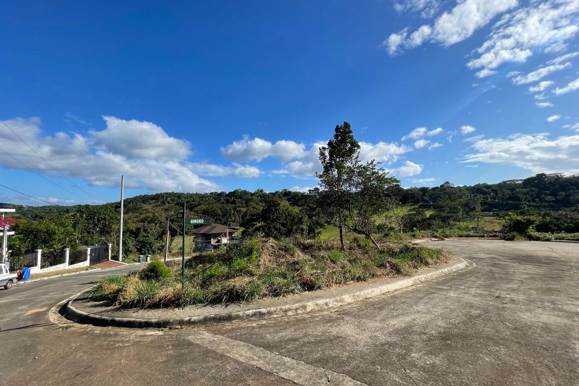 Land for Sale in Eastland Heights, Bagong Nayon, Antipolo, Rizal – photo 2