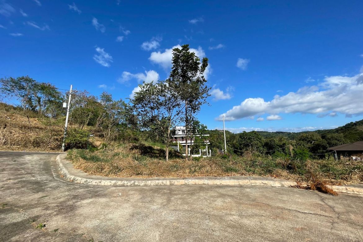 Land for Sale in Eastland Heights, Bagong Nayon, Antipolo, Rizal – photo 7