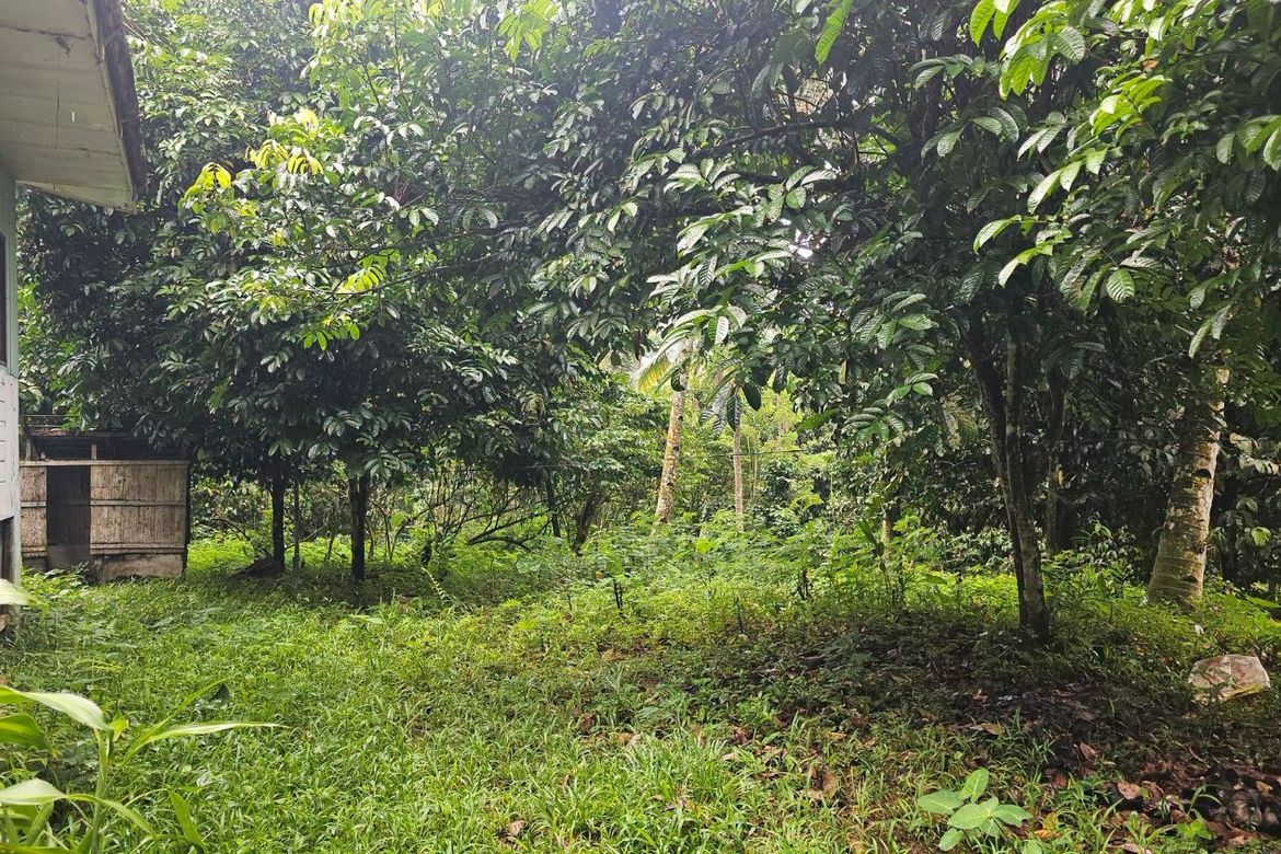 Land for Sale in Eden, Davao City, Davao del Sur