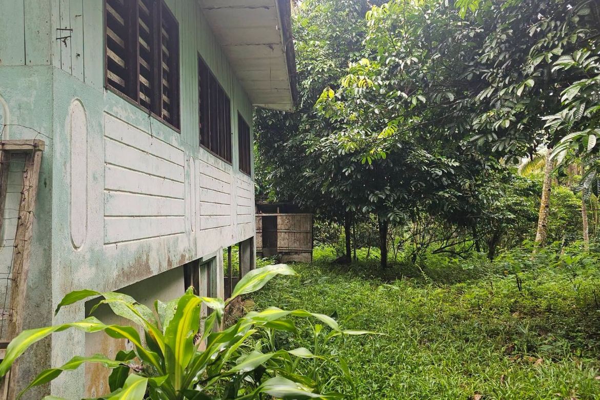 Land for Sale in Eden, Davao City, Davao del Sur – photo 3