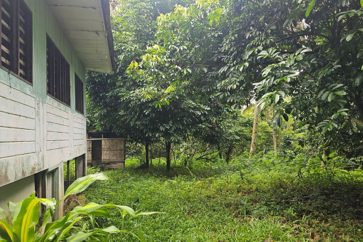 Land for Sale in Eden, Davao City, Davao del Sur – photo 4