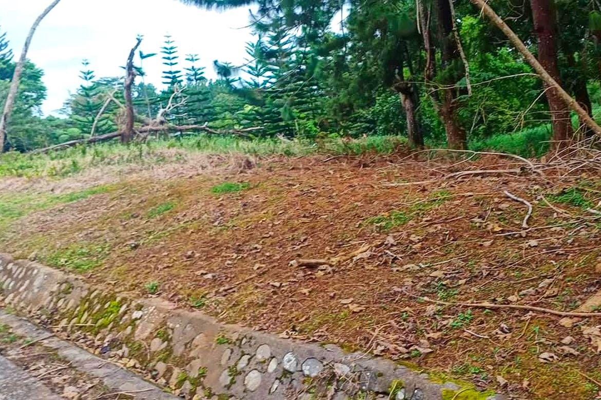 Land for Sale in Eden, Davao City, Davao del Sur – photo 4