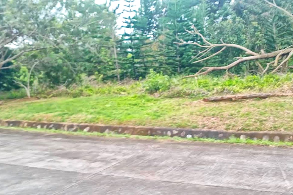 Land for Sale in Eden, Davao City, Davao del Sur – photo 5