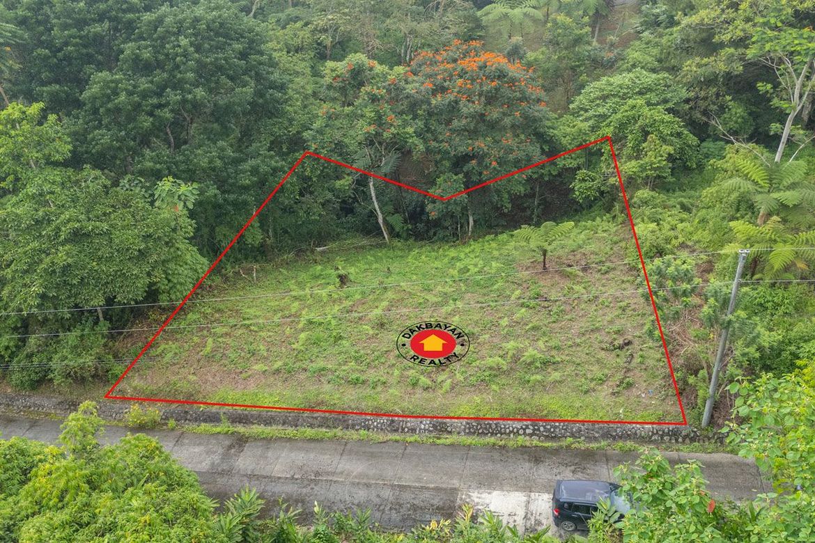 Land for Sale in Eden, Davao City, Davao del Sur – photo 2