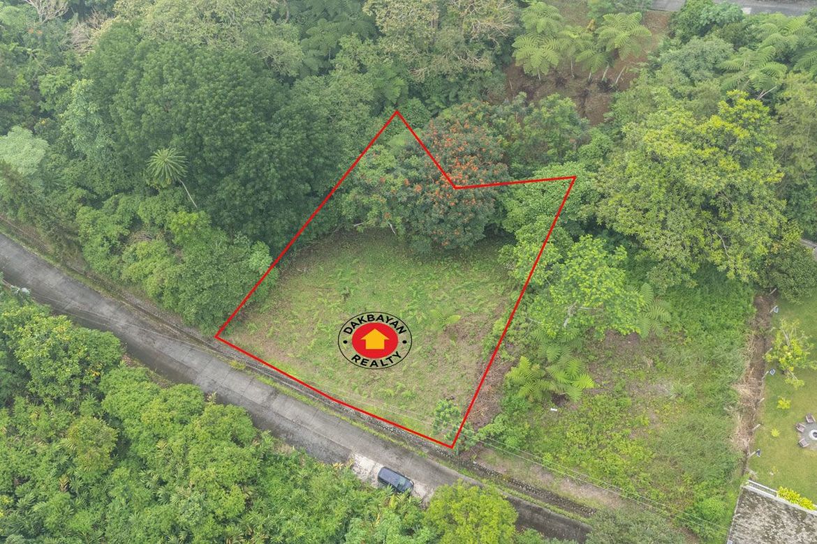 Land for Sale in Eden, Davao City, Davao del Sur – photo 3
