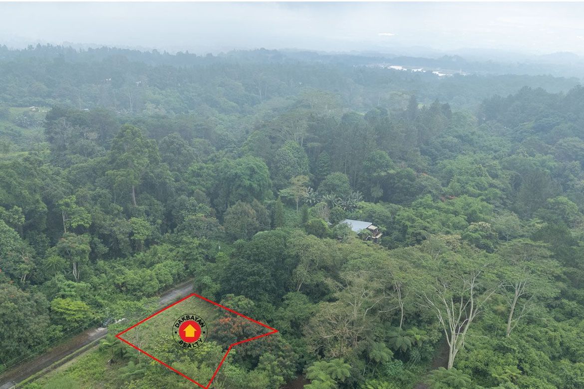 Land for Sale in Eden, Davao City, Davao del Sur – photo 6