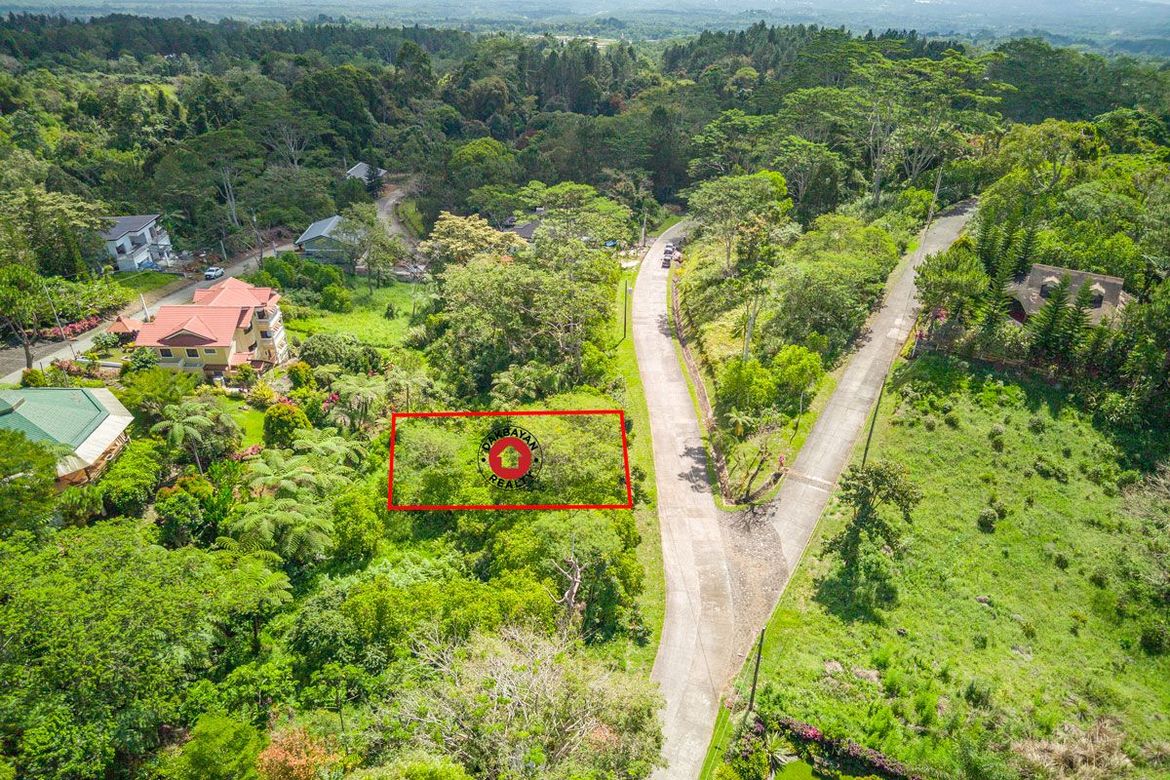 Land for Sale in Eden, Davao City, Davao del Sur – photo 3