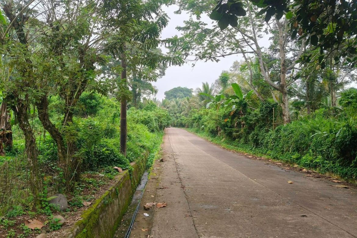 Land for Sale in Eden, Davao City, Davao del Sur – photo 3