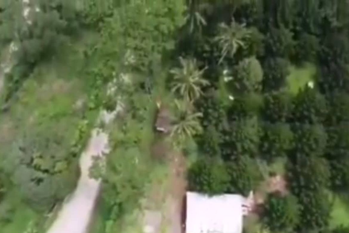 Land for Sale in Eden, Davao City, Davao del Sur – photo 3