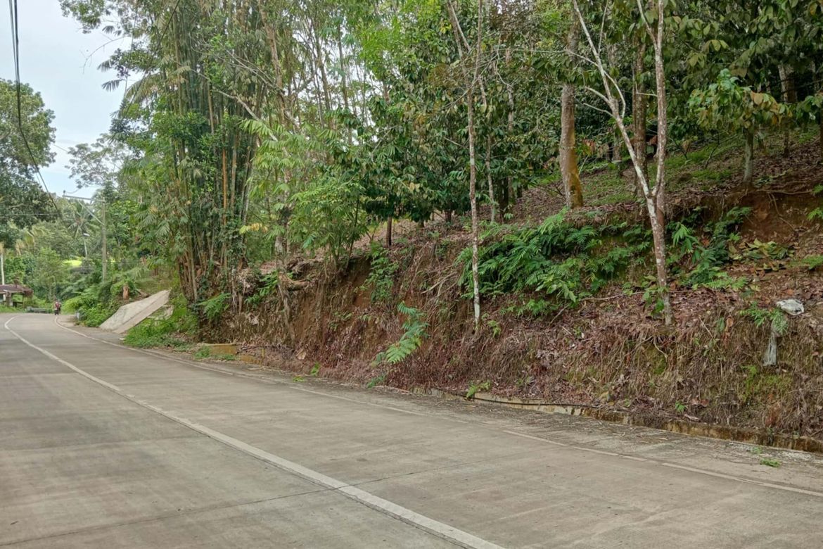 Land for Sale in Eden, Davao City, Davao del Sur