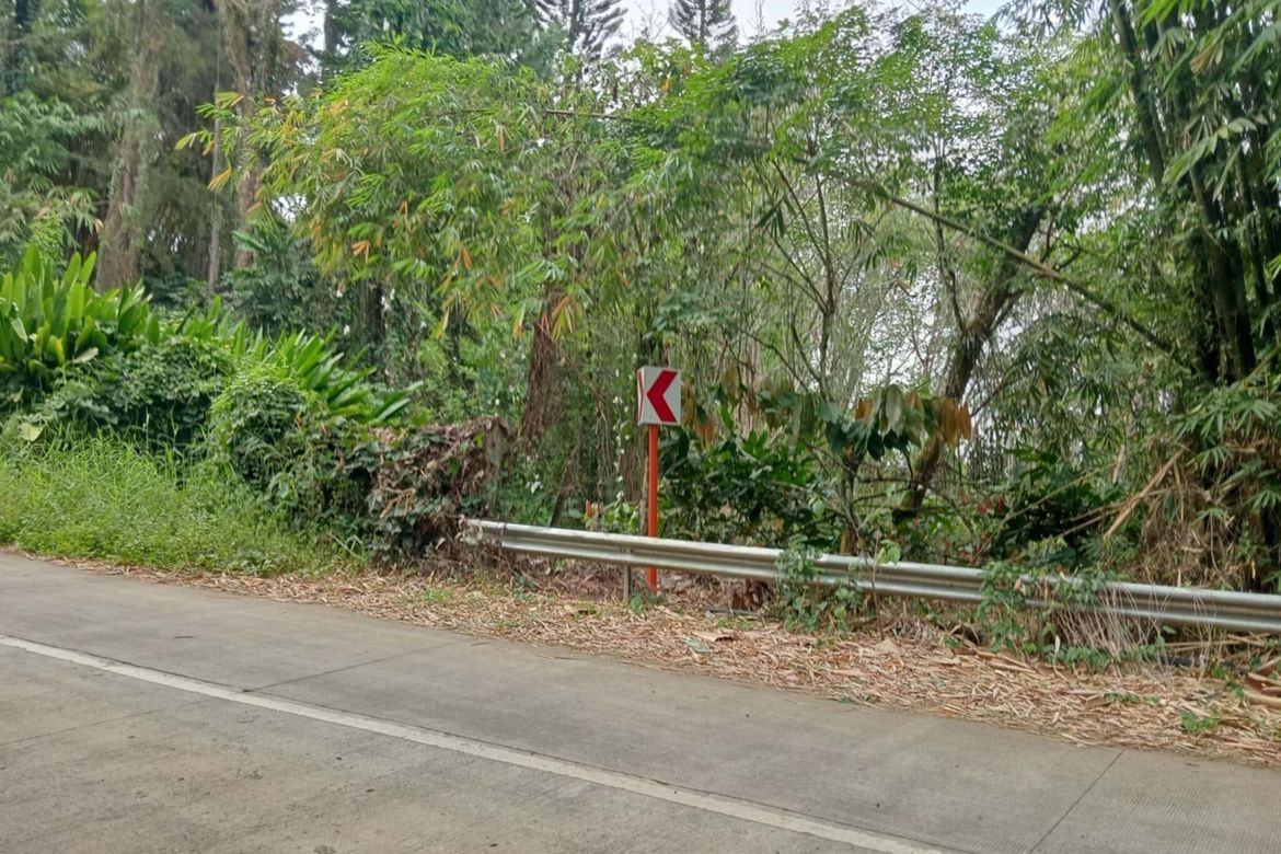 Land for Sale in Eden, Davao City, Davao del Sur – photo 2