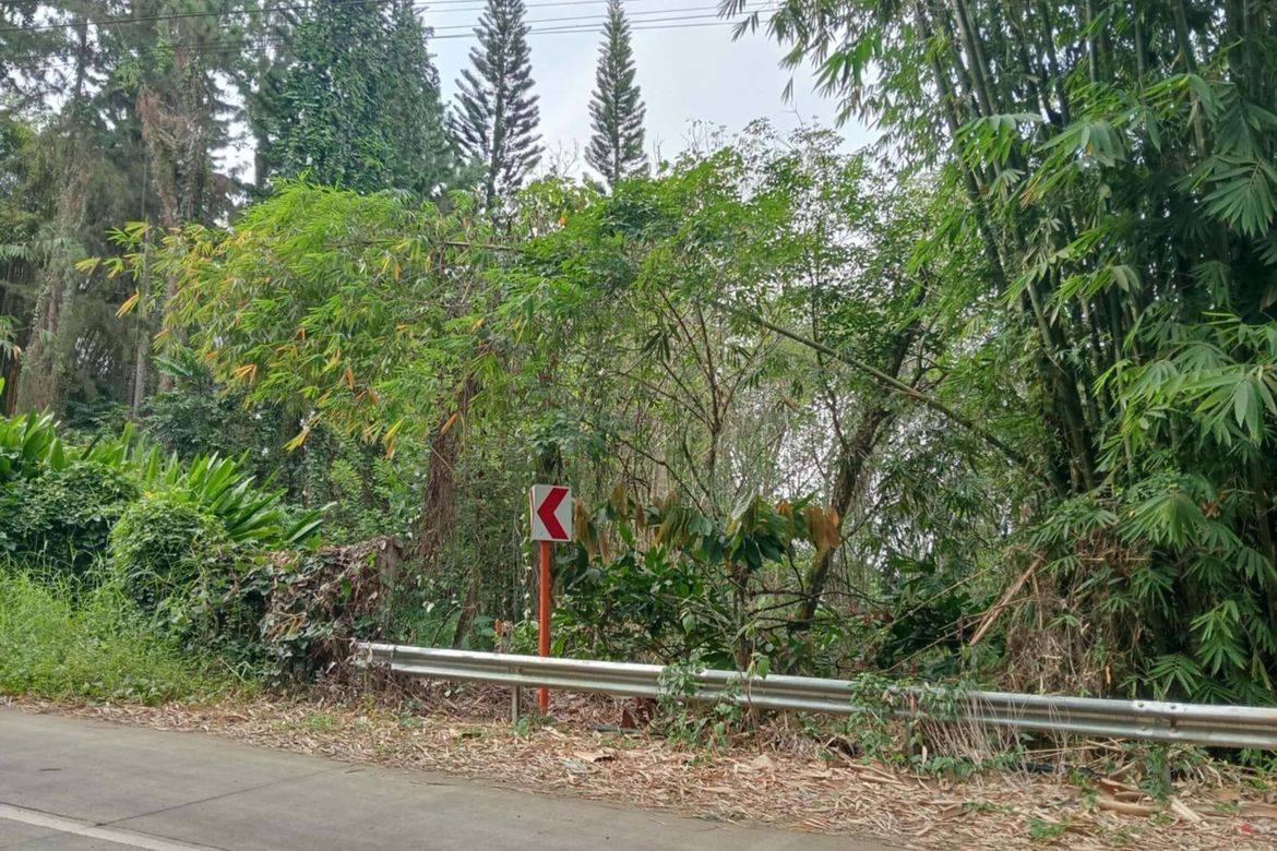 Land for Sale in Eden, Davao City, Davao del Sur – photo 5