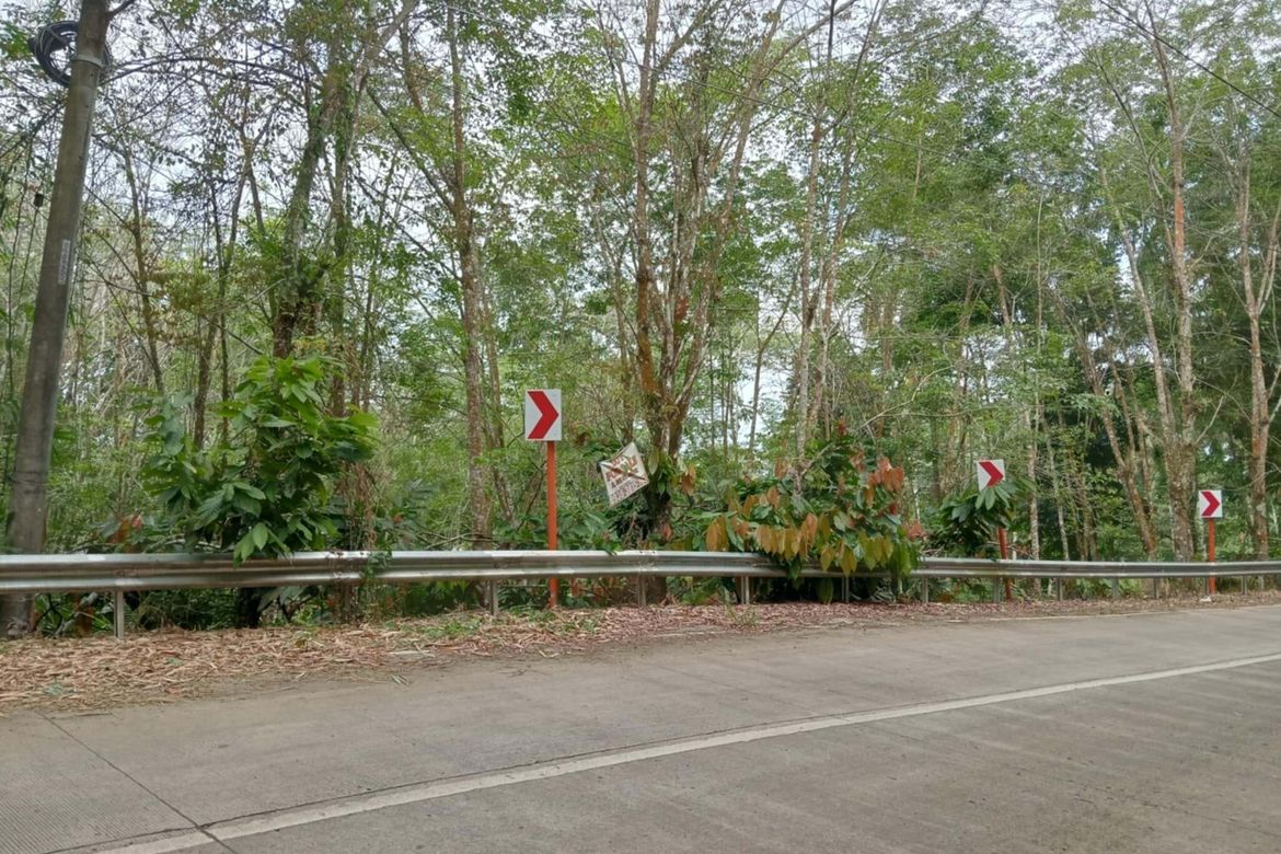Land for Sale in Eden, Davao City, Davao del Sur – photo 7