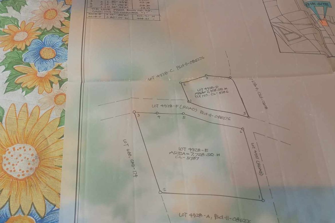 Land for Sale in Eden, Davao City, Davao del Sur – photo 8