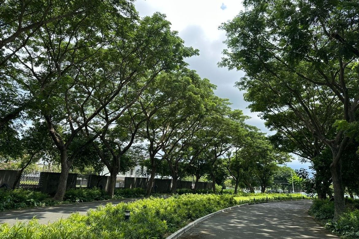 Land for Sale in Elaro, Canlubang, Calamba, Laguna – photo 2