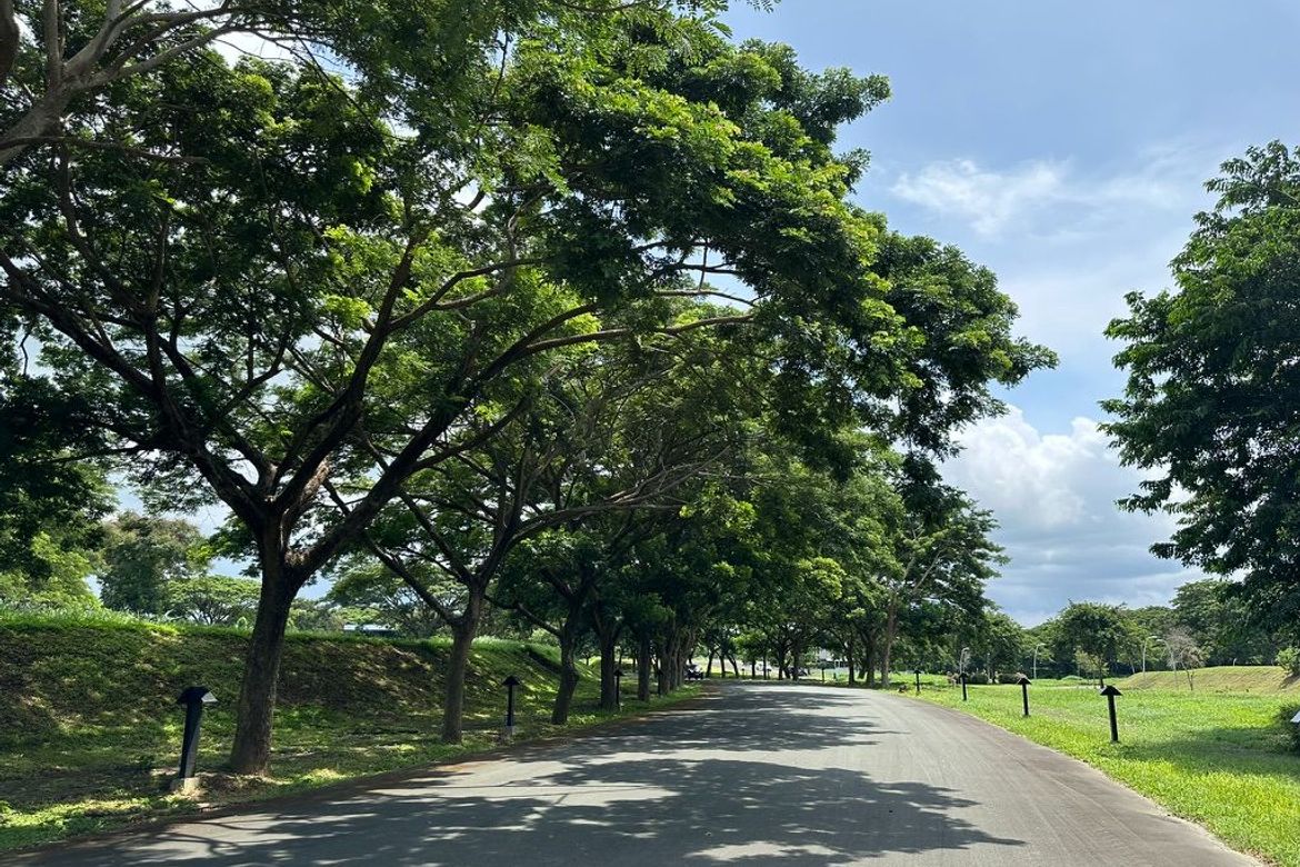 Land for Sale in Elaro, Canlubang, Calamba, Laguna – photo 3