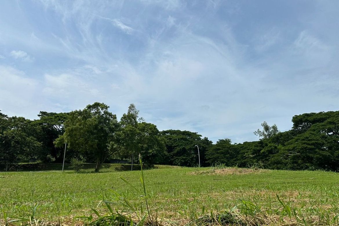 Land for Sale in Elaro, Canlubang, Calamba, Laguna – photo 5