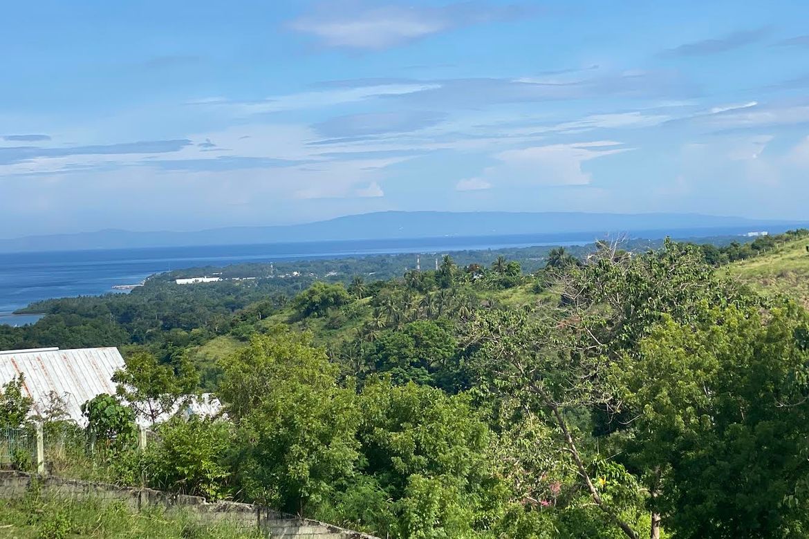 Land for Sale in Enrique Villanueva, Sibulan, Negros Oriental