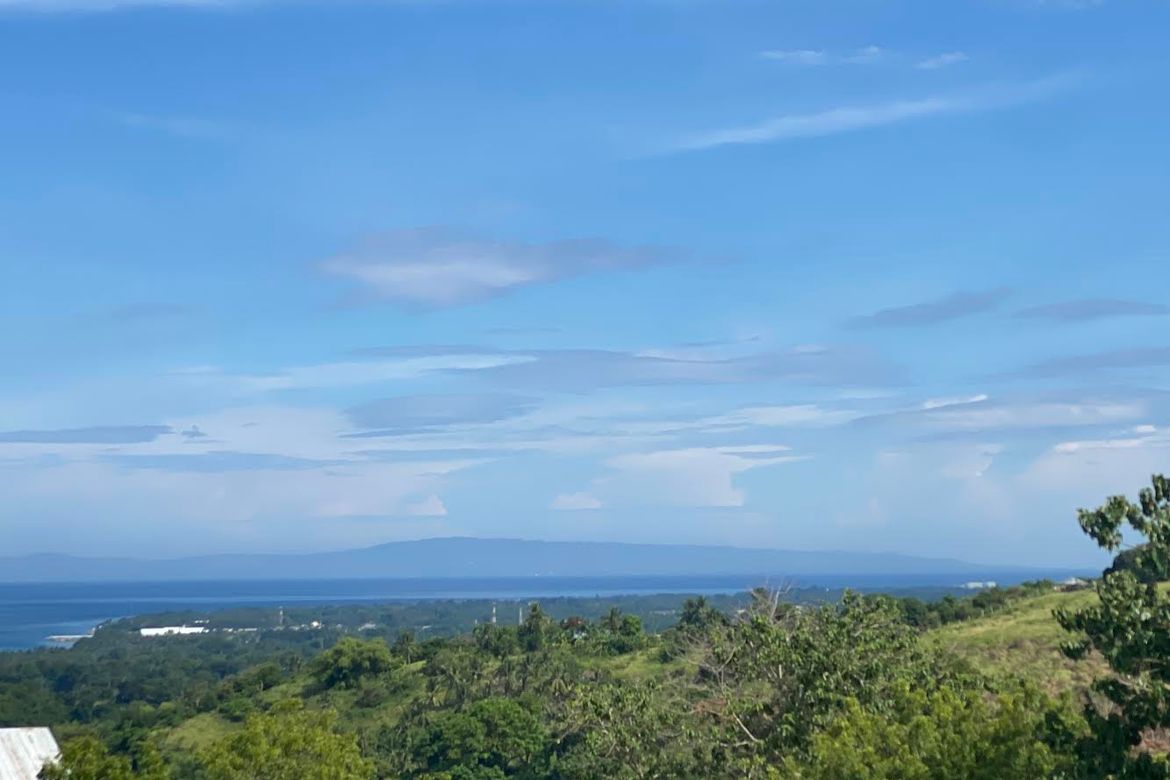 Land for Sale in Enrique Villanueva, Sibulan, Negros Oriental – photo 4