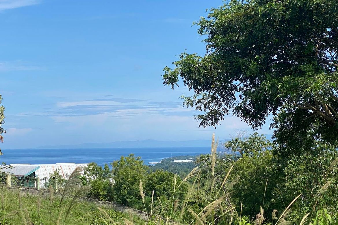 Land for Sale in Enrique Villanueva, Sibulan, Negros Oriental – photo 6