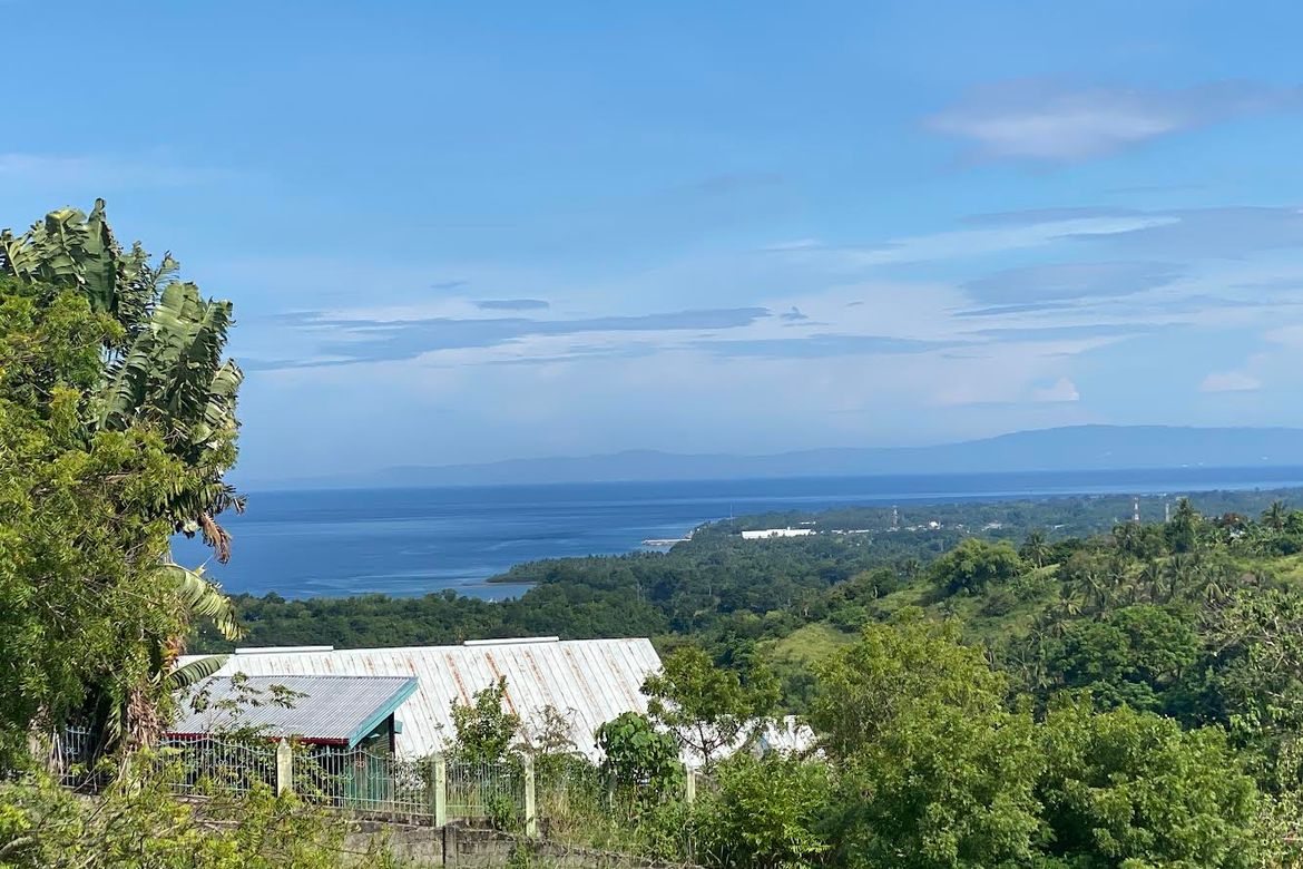 Land for Sale in Enrique Villanueva, Sibulan, Negros Oriental – photo 8