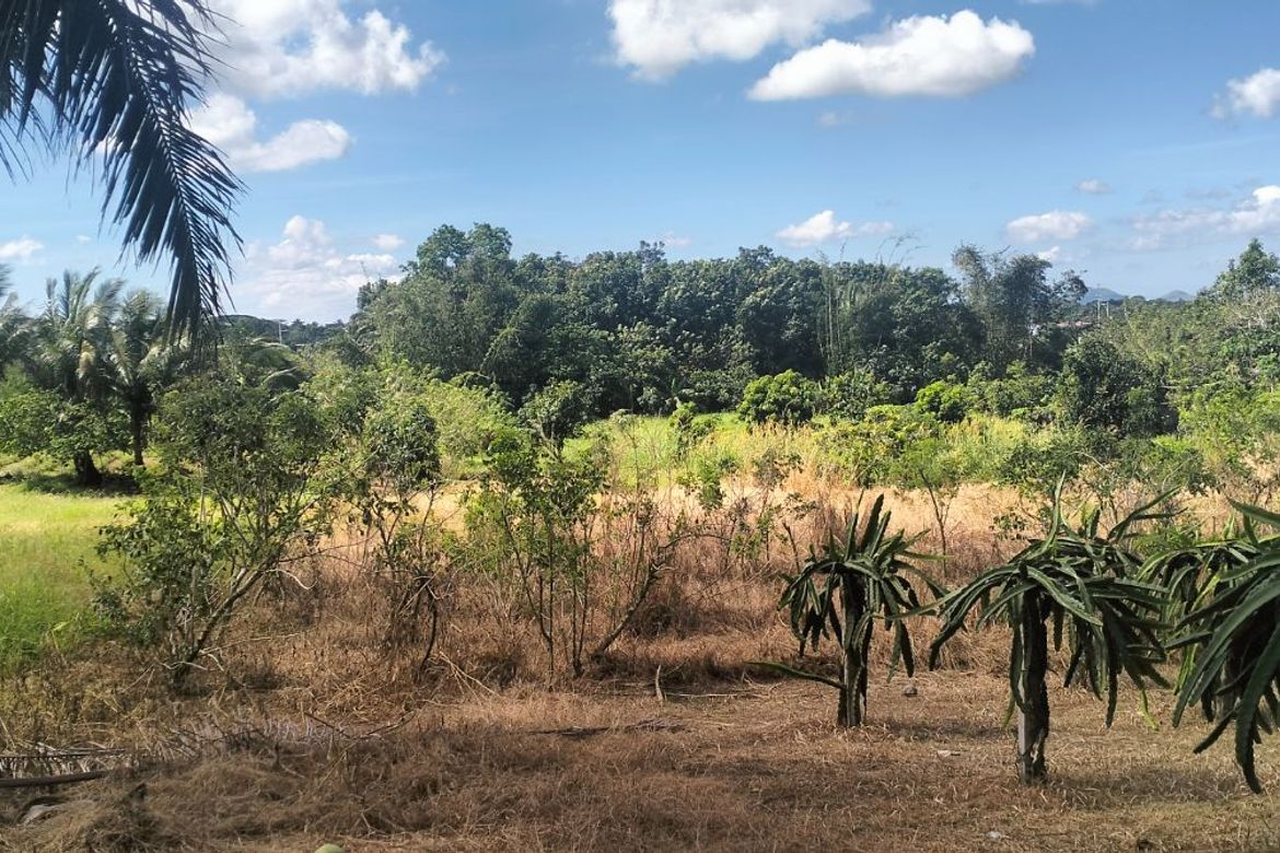 Land for Sale in Esperanza Ibaba, Alfonso, Cavite