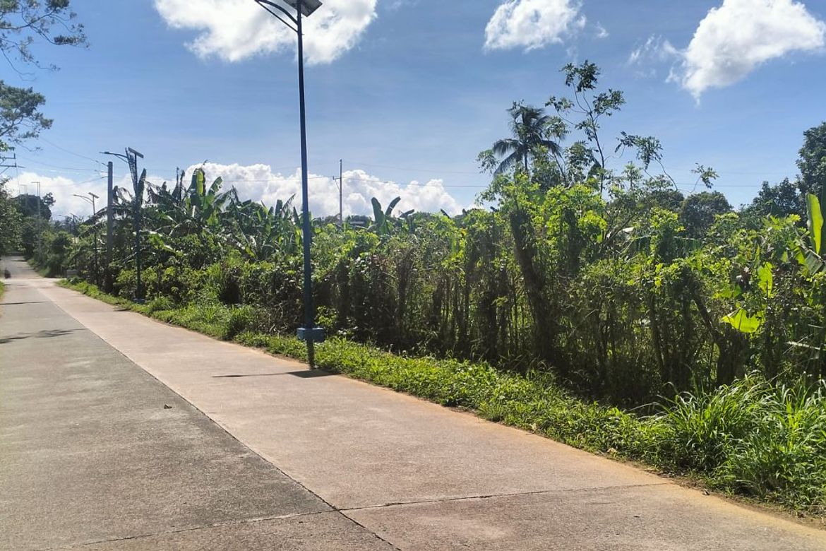 Land for Sale in Esperanza Ibaba, Alfonso, Cavite – photo 2