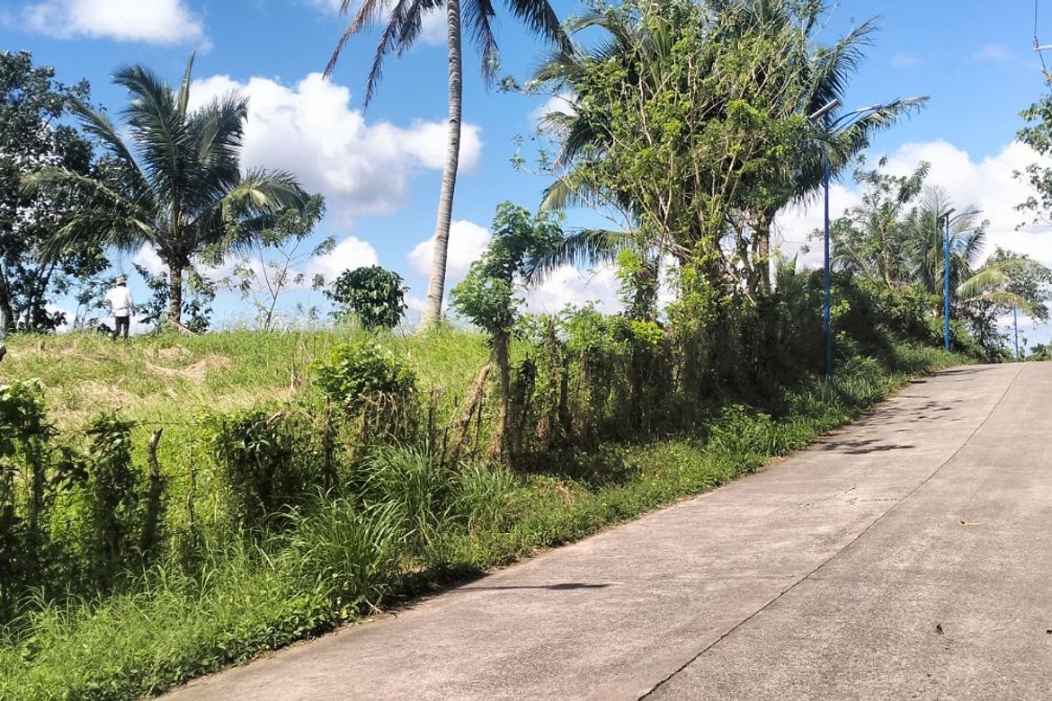 Land for Sale in Esperanza Ibaba, Alfonso, Cavite – photo 3