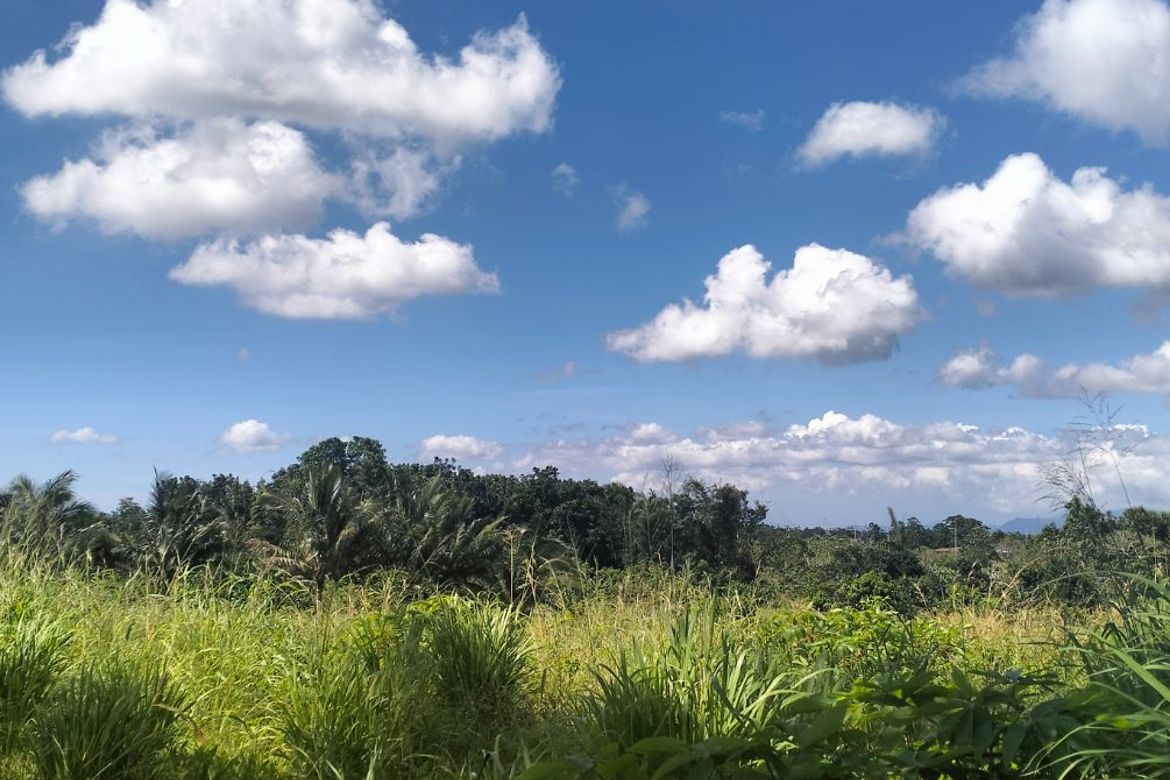 Land for Sale in Esperanza Ibaba, Alfonso, Cavite – photo 4