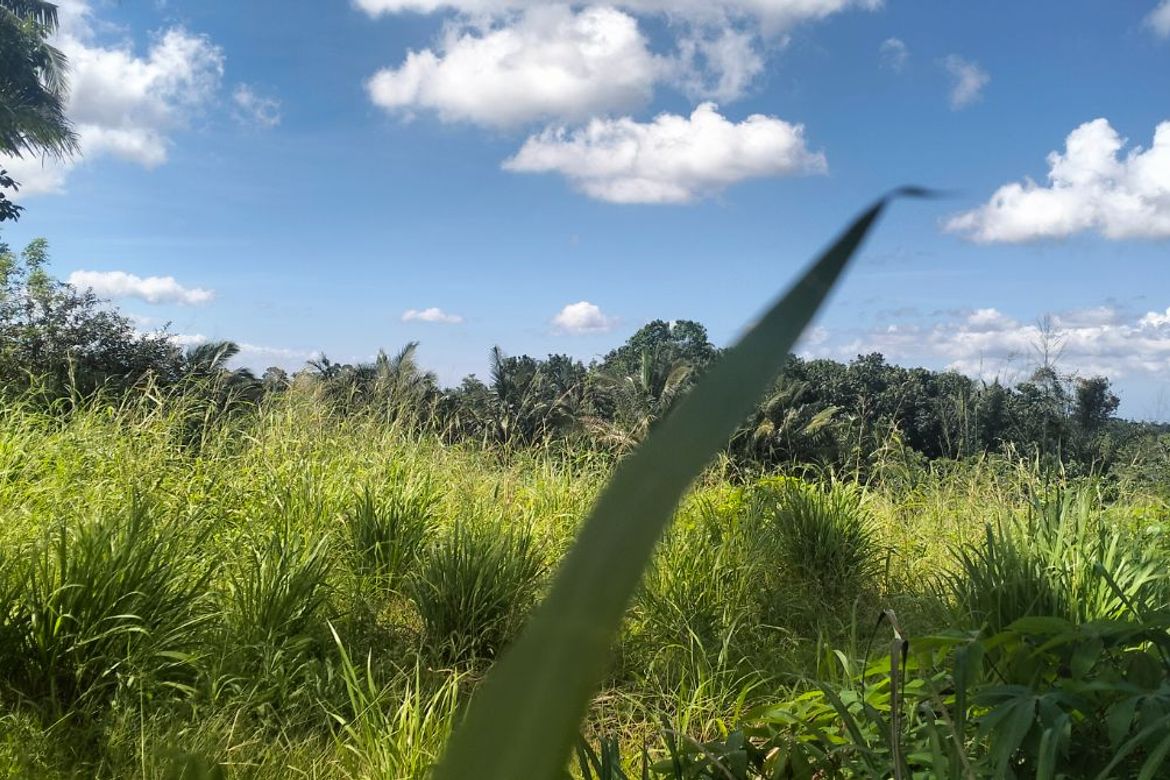 Land for Sale in Esperanza Ibaba, Alfonso, Cavite – photo 5