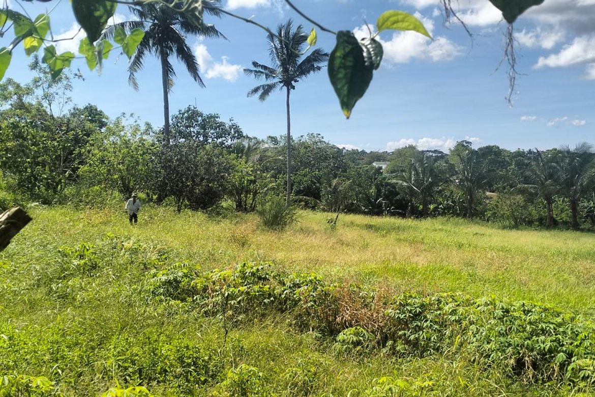 Land for Sale in Esperanza Ibaba, Alfonso, Cavite – photo 7