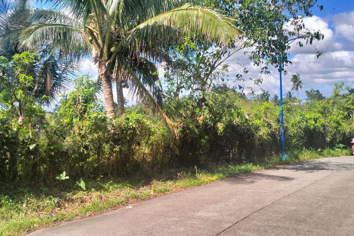 Land for Sale in Esperanza Ibaba, Alfonso, Cavite – photo 8