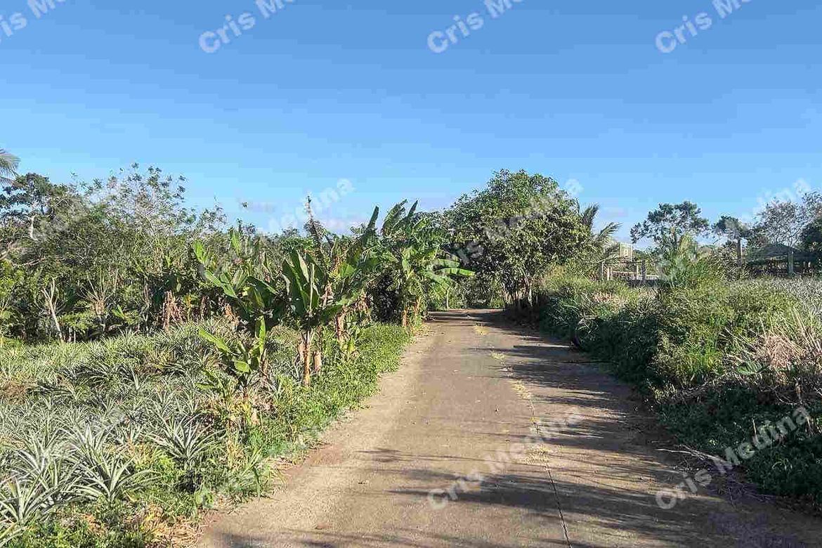Land for Sale in Esperanza Ilaya, Alfonso, Cavite