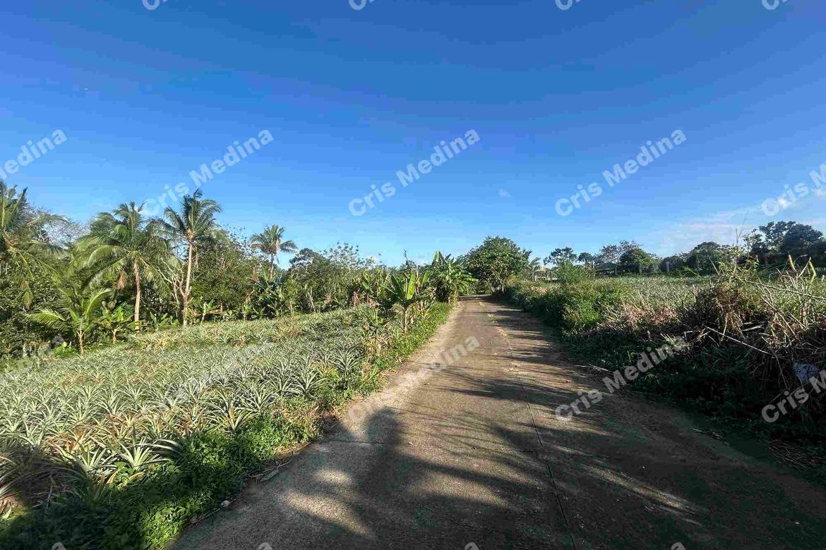 Land for Sale in Esperanza Ilaya, Alfonso, Cavite – photo 2